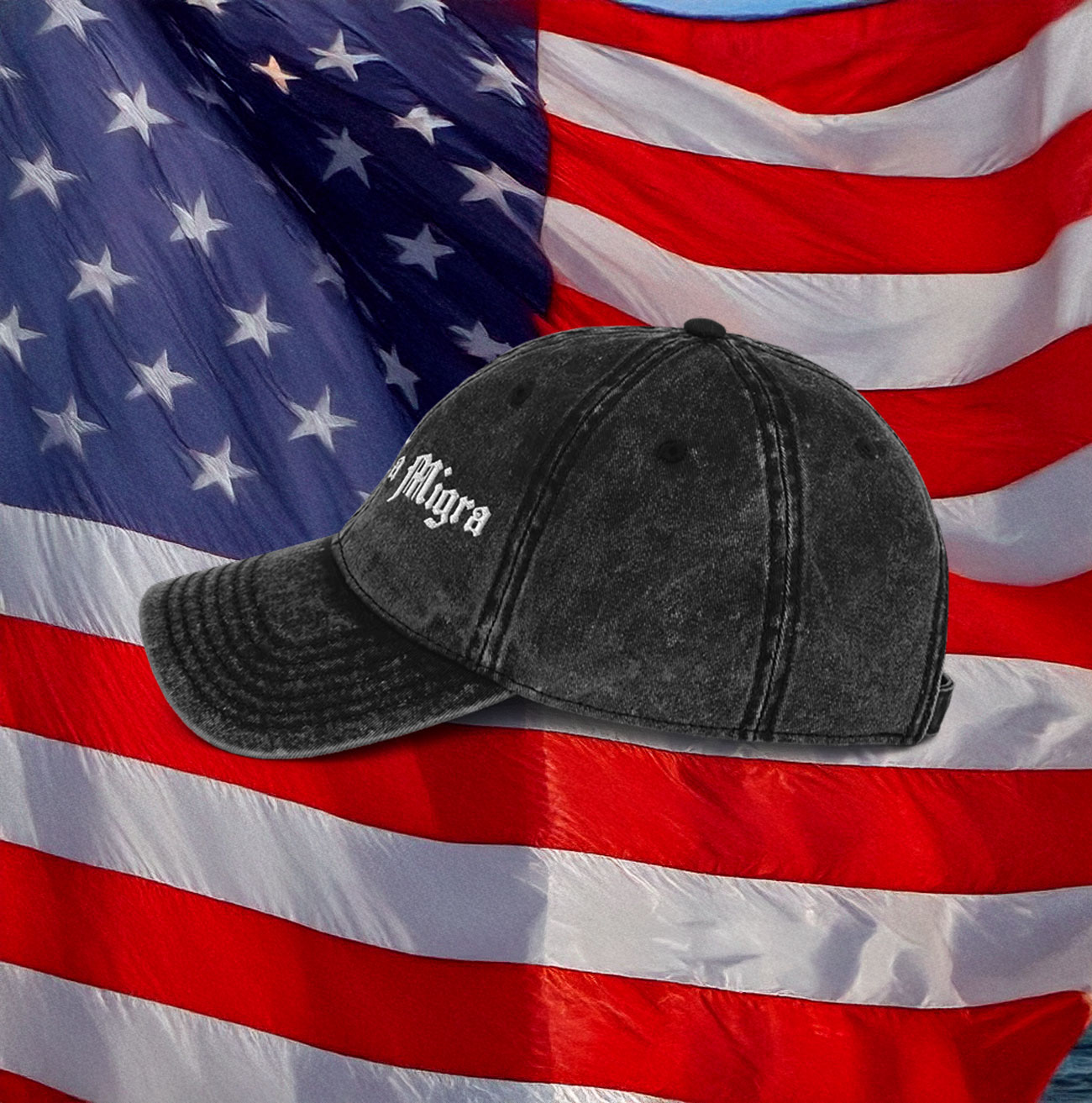 Chinga La Migra Fuck Ice Vintage Cap