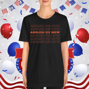 Abolish ICE Now T-Shirt