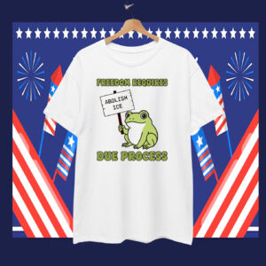 Freedom Requires Due Process Abolish Ice T-Shirt
